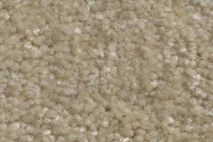 textured carpet sample