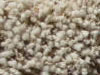 Freize Carpet Sample