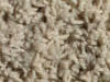 Frieze Carpet Sample