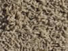 freize carpet sample