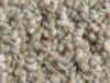 berber carpet sample