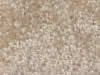 Textured Carpet Sample