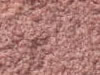 Plush Velvet Stainmaster Carpet