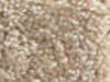 Textured Carpet Sample