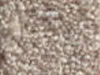 Textured Carpet Sample